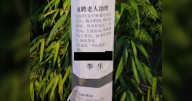 Beware of fake job ads posted in Chinese, Richmond RCMP say