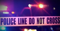 LAPD makes several arrests in alleged gang