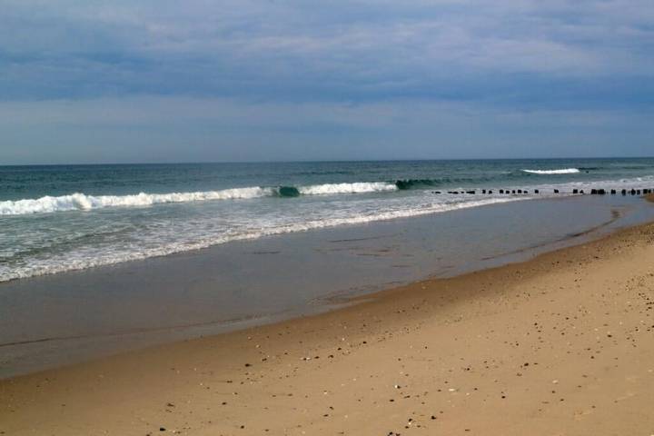 City beaches closed to swimming Aug. 20