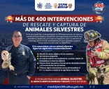 Ha atendido Bomberos más de 400 intervenciones de rescate y captura de animales silvestres