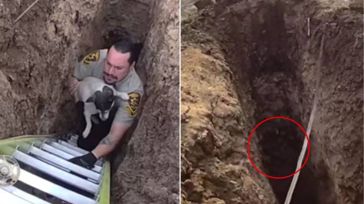 Arizona Worker Hears Strange Cries From A Sinkhole Makes Startling Find