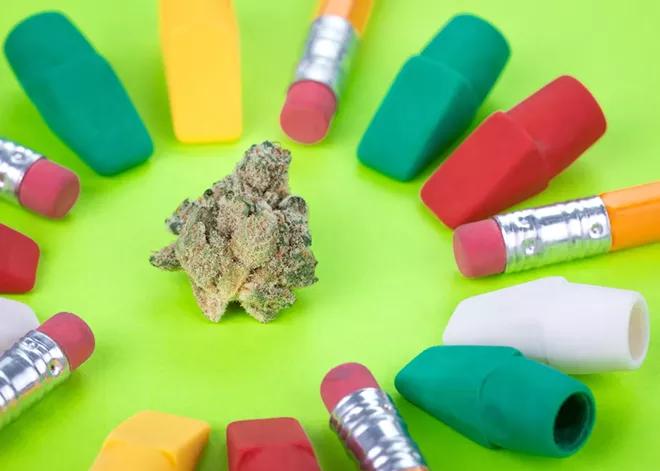 A cannabis educator gives advice for people considering cannabis certificate courses, including those offered at Gonzaga