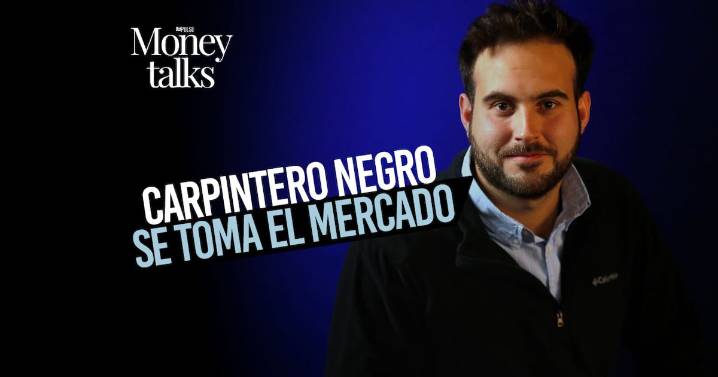 Carpintero Negro se toma el mercado