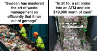 46 Stories To Keep You Up To Date With The Interesting Things That Are Happening In The World