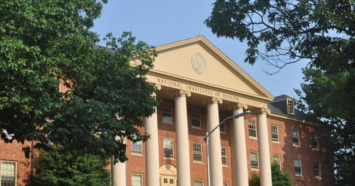 Trump illegally froze 1,800 NIH medical research grants, Congress’ watchdog says