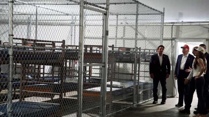 Everglades, último bastión natural, frena centro de detención para migrantes en Florida