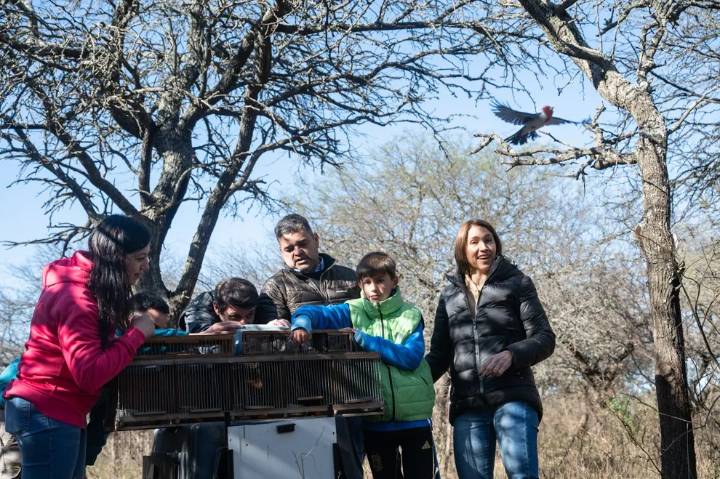 Liberaron más de 60 animales silvestres rescatados en diferentes procedimientos de control ambiental