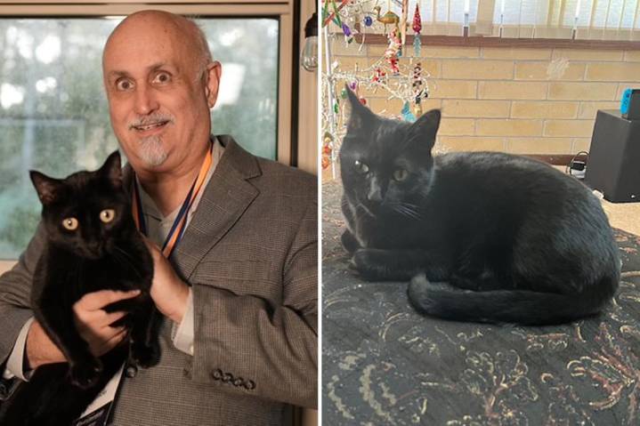 Florida cat helps scientists discover new virus