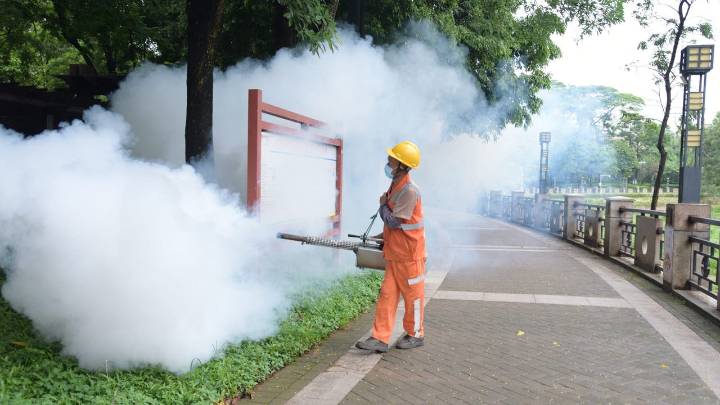Chikungunya Virus: What to know about symptoms and prevention
