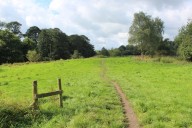 Woman killed by falling tree branch as she ‘walked with young child in park’