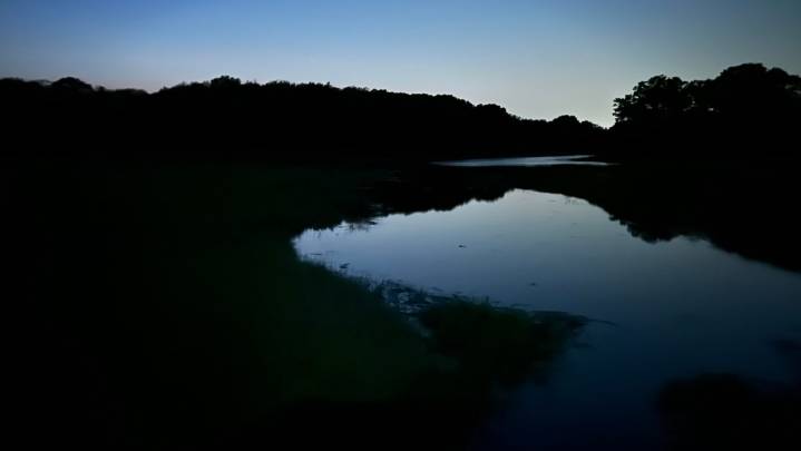 Try a moonlit walk at Bush Hill Nature Reserve in Wickford RI