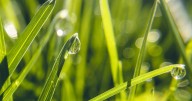 Labor Day weekend forecast: Rainy start, sunny finish for Denver and the mountains