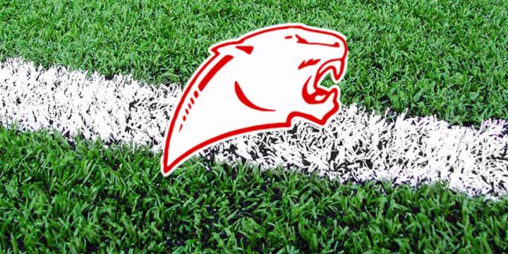 Hometown Heroes: Burton Panthers