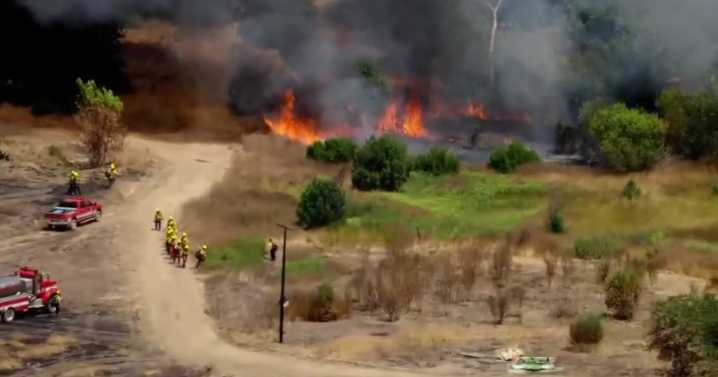 Firefighters battle Sepulveda Basin brush fire burning near 405 Freeway