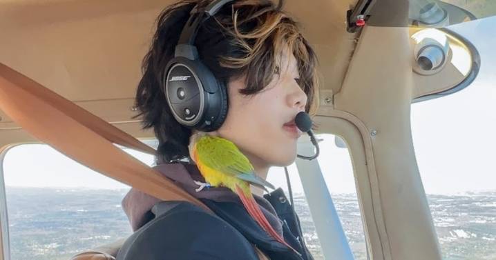 Influencer Pilot Ethan Guo, 19, Stuck in Antarctica After Unauthorized Landing