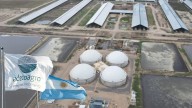 Primer tropiezo para Tether en el agro: Adecoagro cierra trimestre con pérdidas
