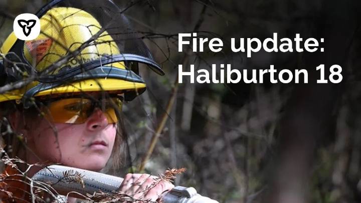 Wildfire situation improves in Marmora and Lake