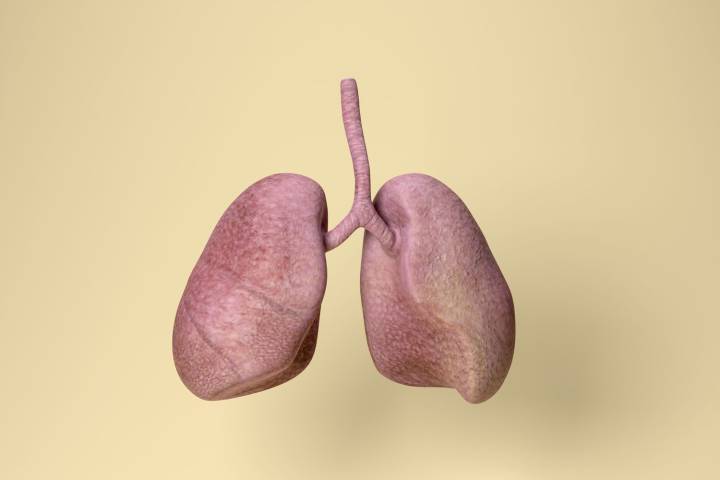 Lung Cancer Is Rising in Non-Smokers. Scientists Are Looking for Causes