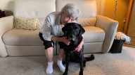 Tooth-in-eye surgery gives Victoria woman back her independence