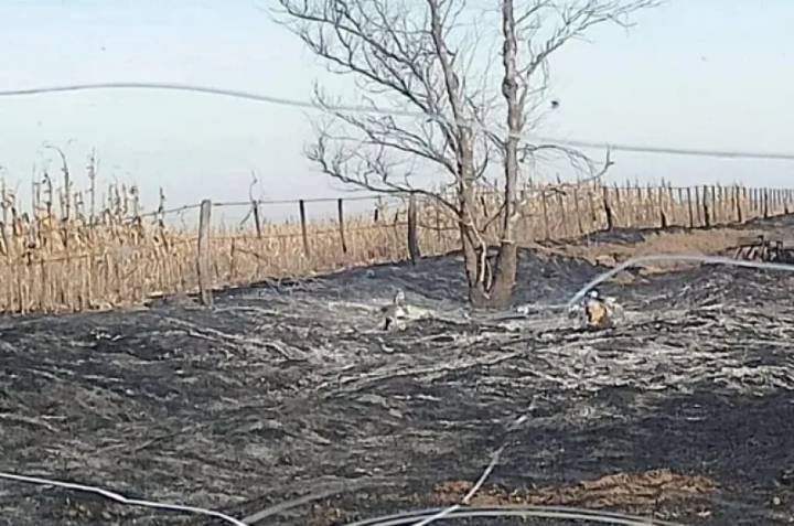 Productores realizaron una denuncia por la quema de pastizales en la zona rural de Parera
