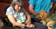 Eden Prairie nonprofit Helping Paws starting fund in honor of Hortman family