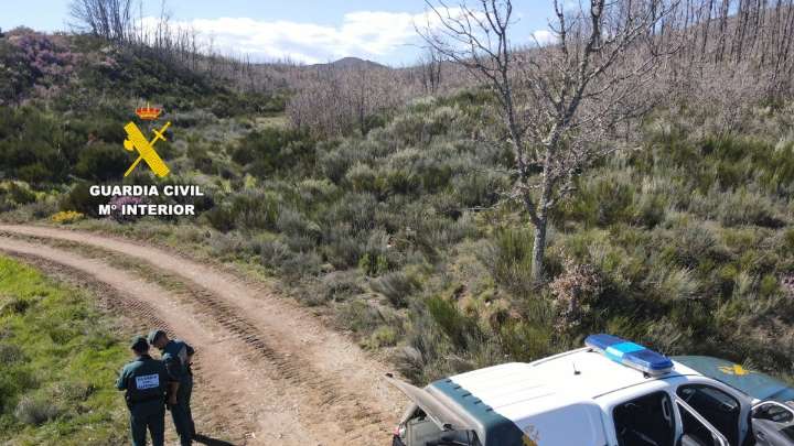 Investigado un hombre de 57 años como presunto autor del incendio forestal de Valduvieco