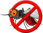 NDHHS Issues Warning As West Nile Virus Hospitalizations Increase