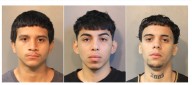 ICE arresta a tres supuestos pandilleros de la MS