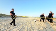 Apuñalan a un adolescente en la playa - La Tribuna Hispana USA