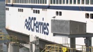 Cat lost on BC Ferries reunited with owner