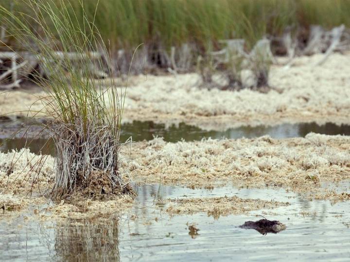 Dry conditions continue in Belleville area despite recent rainfall
