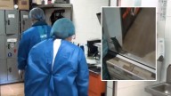 Autoridades toman importantes medidas en famosa pizzería de Bogotá donde había ratas