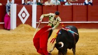 Molina cae de pie en la alternativa de Páez