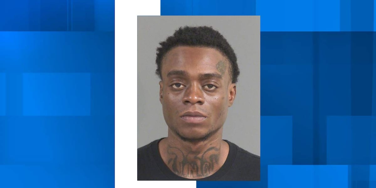 North Charleston Police arrest convicted felon in possession of handgun, drugs
