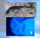 Policías evitaron un femicidio en Luján: amenazas por WhatsApp y armas secuestradas