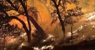 Hot and dry conditions, high winds fuel wildfires in the West