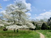 Friends of the Wissahickon kicks off 10th annual ‘All Trails Challenge’
