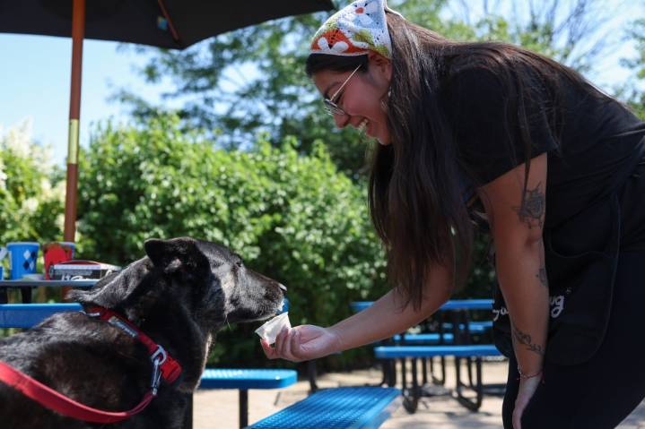 Guide: Restaurant critic's dog's favorite patios in Chicago