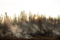 N.W.T. wildfire prompts evacuation order for Fort Providence