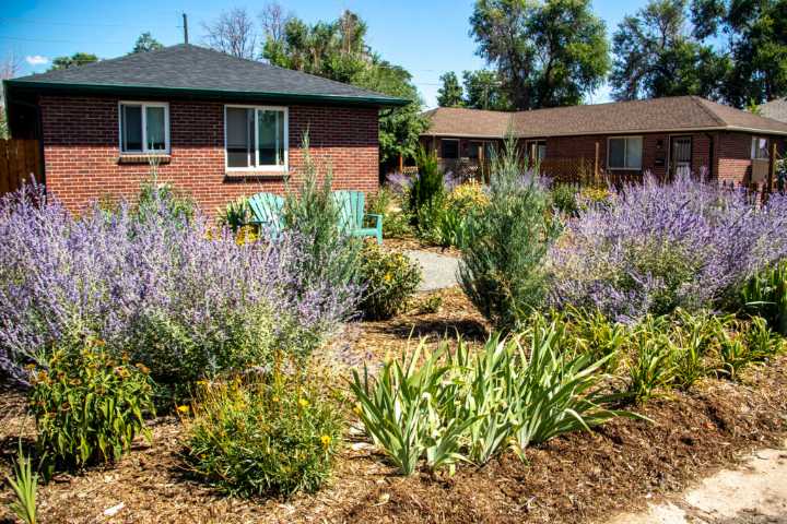 Denver could ban ‘non-functional’ grass from new development, including residential