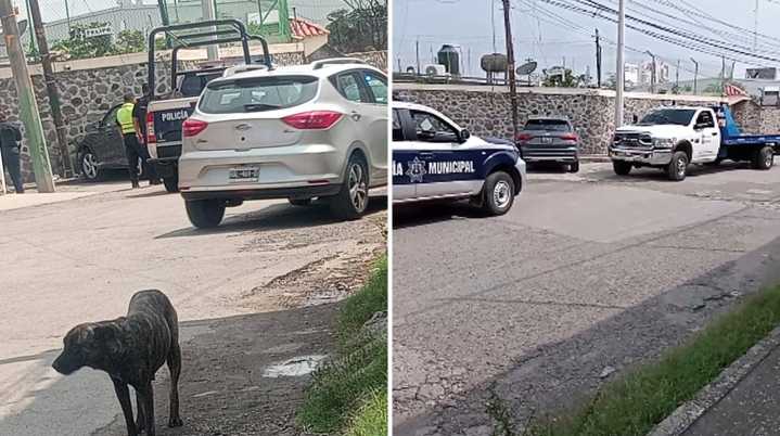 Persecución en Cuernavaca tras robo de camioneta Audi; delincuentes escapan a pie