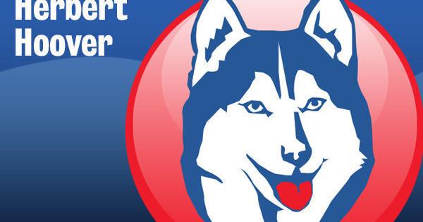 Prep volleyball: Host Hoover sweeps quad over Buffalo, Elkins, Sissonville