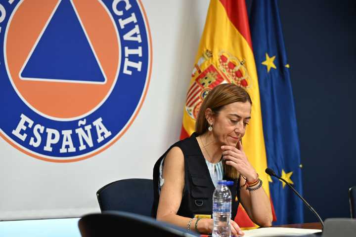 Protección Civil destaca el descenso de incendios en el país
