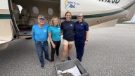 Kansas City is now home to Missouri's only permanent resident Kemp’s ridley sea turtle