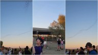 Por qué hay murciélagos que viven bajo un puente en Sacramento