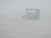 Tropical storm leaves 4 dead in Vietnam