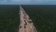 Retrasos, criminalización y desacatos: los amparos contra la construcción del Tren Maya no ven la luz al final del túnel
