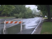 Tree blocks busy Charlotte road