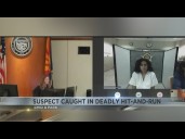 Suspect caught in deadly hit