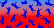 The Political Disaster Hiding in Plain Sight for Democrats
